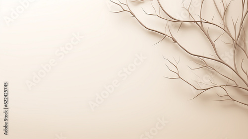 Cream background with a plant