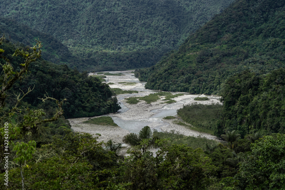 Rivers of the Amazon rainforest with green landscape Rivers of the Amazon rainforest with green landscape
