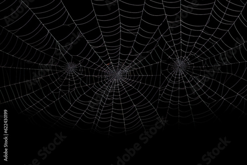 Real creepy spider webs silhouette isolated on black banner panorama | Generative AI