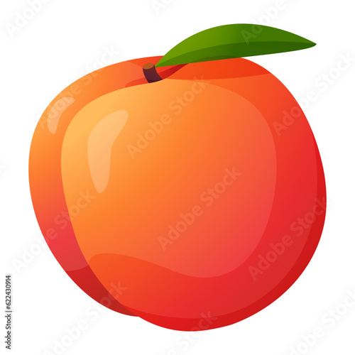 Fresh peach.Sweet fruit.Ripe peaches. Cartoon flat vector illustration.Isolated on white background.