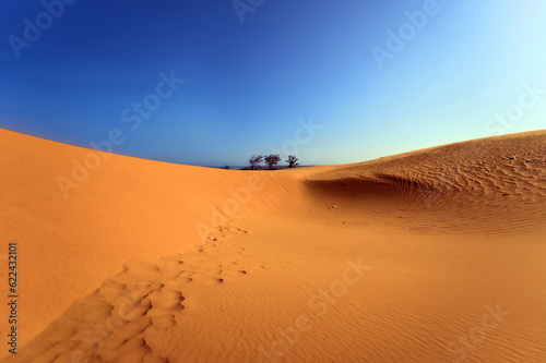 Beautiful Landscape Desert, Red Sand Dunes of Mui Ne, Vietnam