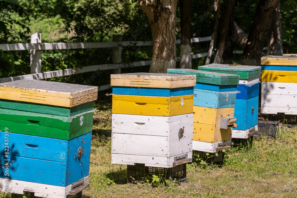 Many set of wooden beehive in the spring garden in the apiary to collect honey. Row of colorful beehives on a small enclosed area Many set of wooden beehive in the spring garden in the apiary to collect honey. Row of colorful beehives on a small enclosed area