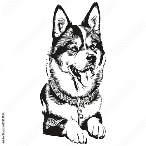 Akita dog black drawing vector  isolated face painting sketch line illustration