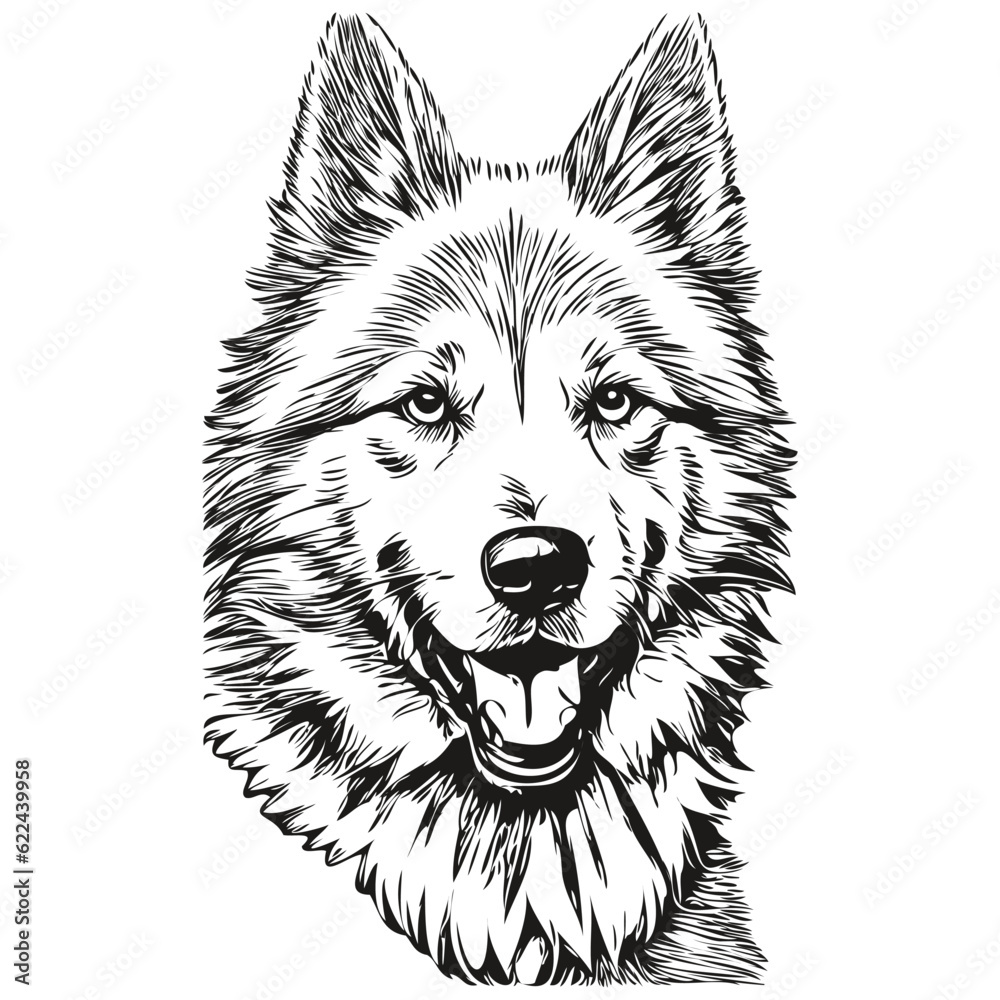 Samoyed dog cartoon face ink portrait, black and white sketch drawing, tshirt print realistic breed pet