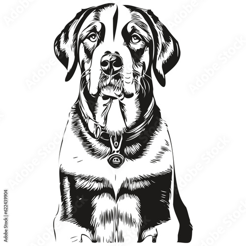 Greater Swiss Mountain dog hand drawn logo drawing black and white line art pets illustration