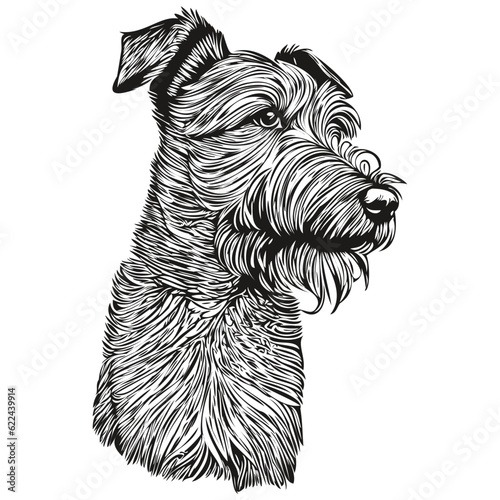 Lakeland Terrier dog black drawing vector, isolated face painting sketch line illustration realistic breed pet