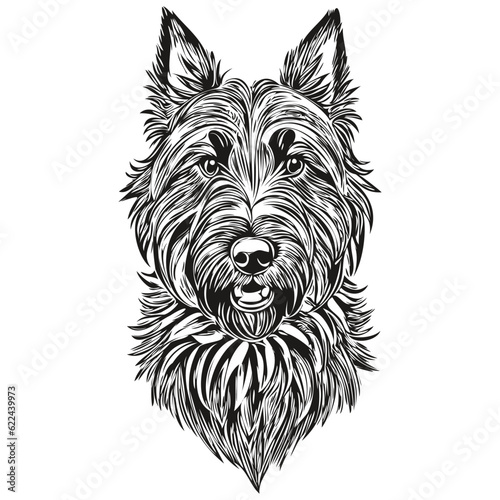 Scottish Terrier dog pencil hand drawing vector, outline illustration pet face logo black and white sketch drawing