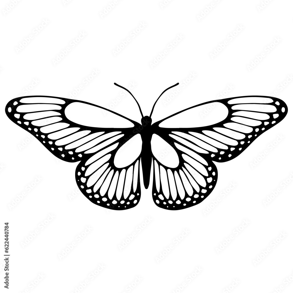 Fototapeta premium Sketch of a decorative butterfly, night moth.Vector graphics.