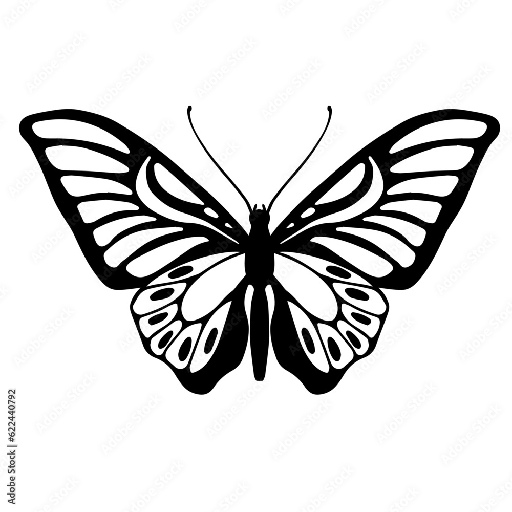 Sketch of a decorative butterfly, night moth.Vector graphics. Sketch of a decorative butterfly, night moth.Vector graphics.