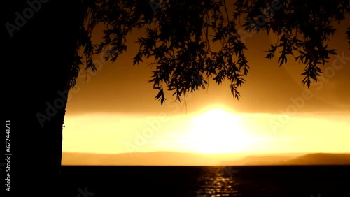 A stormy wind blows the leaves of the trees on the waterfront at sunset -4K