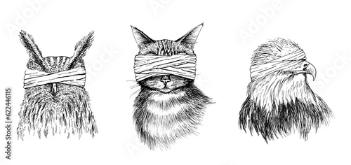 Blind Animals Ink Hand Drawing Set Owl, Cat, Eagle 