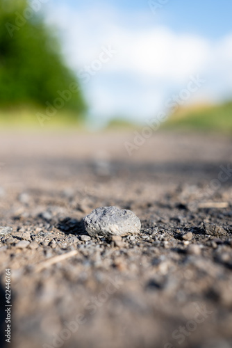 Zbli  enie na samotny kamie   na polnej kamiennej drodze id  cej przez obszary wiejskie zachodniej Polski w  r  d p  l i las  w w popo  udniowy s  oneczny dzie   o letniej porze roku