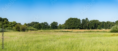 Panoramiczny krajobraz pola uprawnego w okresie wzrostów pory letniej w zachodniej Polsce photo