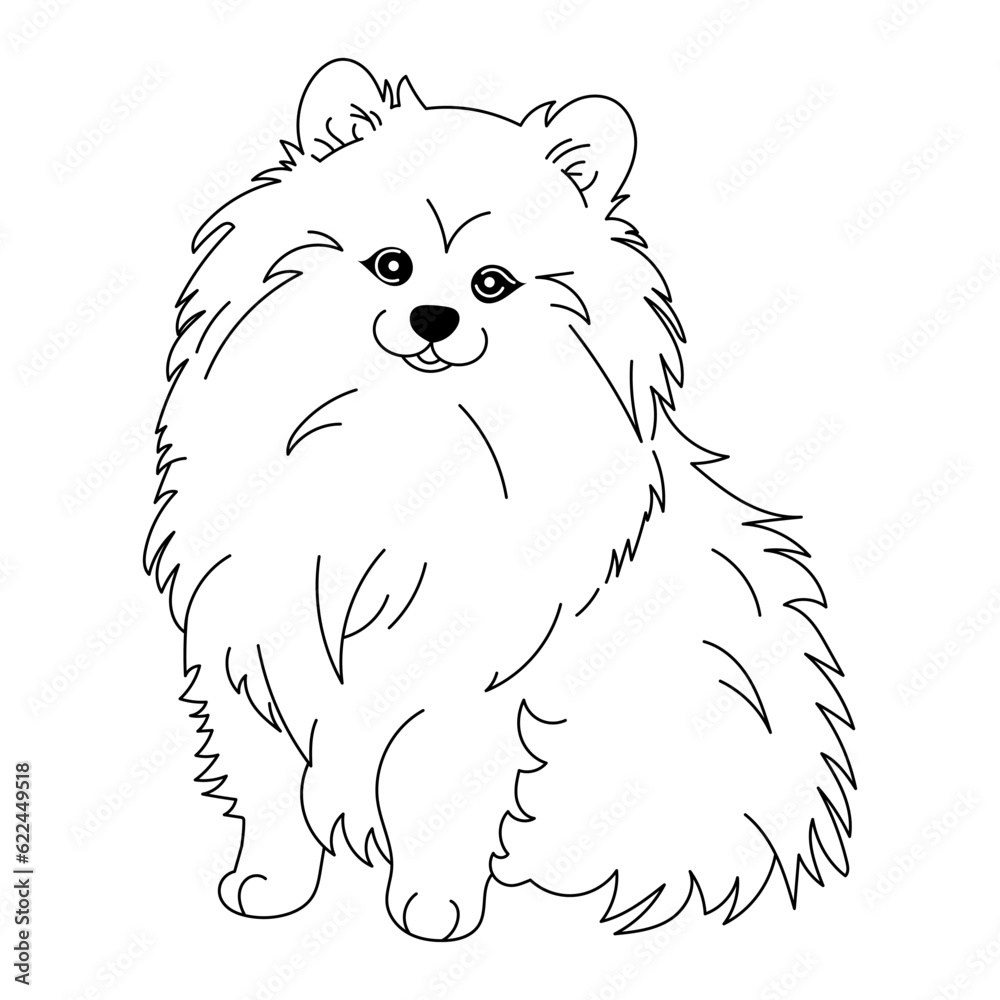 contour pomeranian german spitz dog vector graphics