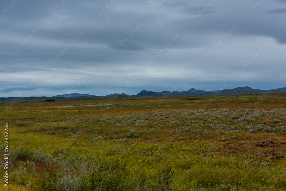 Landscape of the  tundra in northern Norway