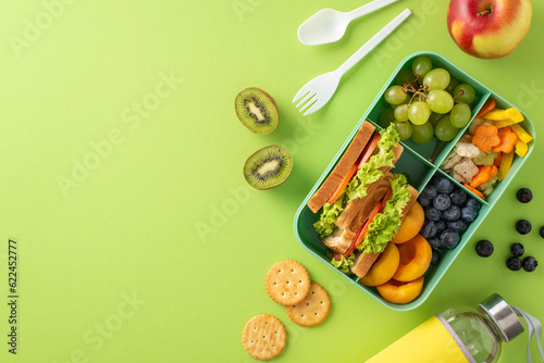 Lunch in the school cafeteria concept. Above view photo of lunch box with sandwiches, fruits and vegetables and water bottle on light green isolated background with copyspace for text or advert