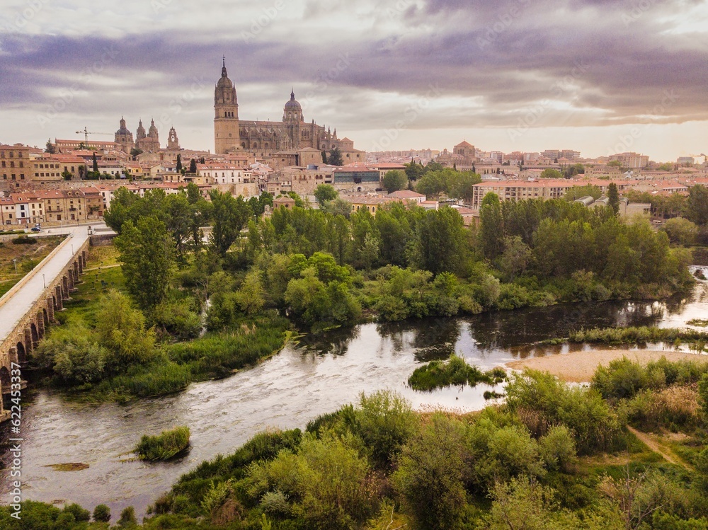 Aerial view of Tormes river and Salamanca architecture with Cathedral Landscape. Spain, Europe 