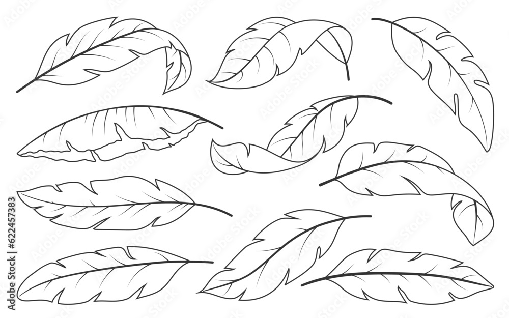 Tropical Leaves hand drawn set. Banana palm leaf in sketch graphic engraving doodle style. Linear abstract exotic branches isolated on white. Coloring book page of trendy botanical black line art Tropical Leaves hand drawn set. Banana palm leaf in sketch graphic engraving doodle style. Linear abstract exotic branches isolated on white. Coloring book page of trendy botanical black line art