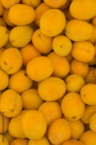Many ripe orange apricots, top view pattern