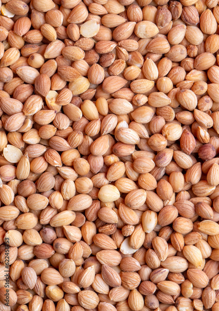 Mahlep, Mahlab or Mahaleb seeds isolated on white background Mahlep, Mahlab or Mahaleb seeds isolated on white background