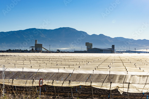 Plastic greenhouses on coast  Spain