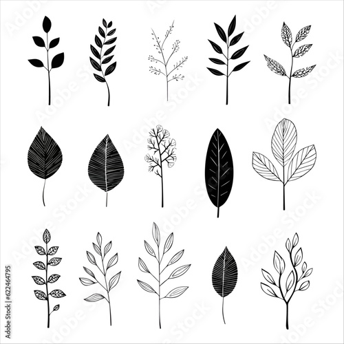 Artistic hand drawn vector compilation of leaves