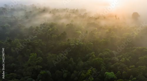 Fotografia, Obraz aerial view of the amazon forests