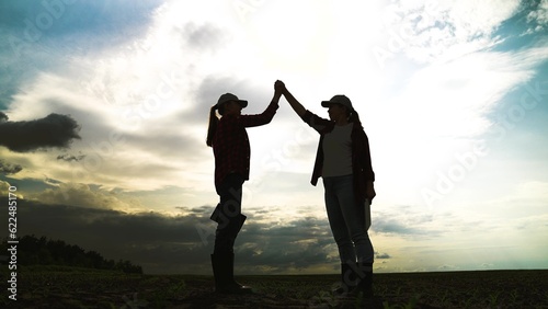 silhouette handshake, business partner agriculture, teamwork, group people team together handshake, wheat, cooperation, fertile, landscape, they're, countryside, camera, cooperation business, business