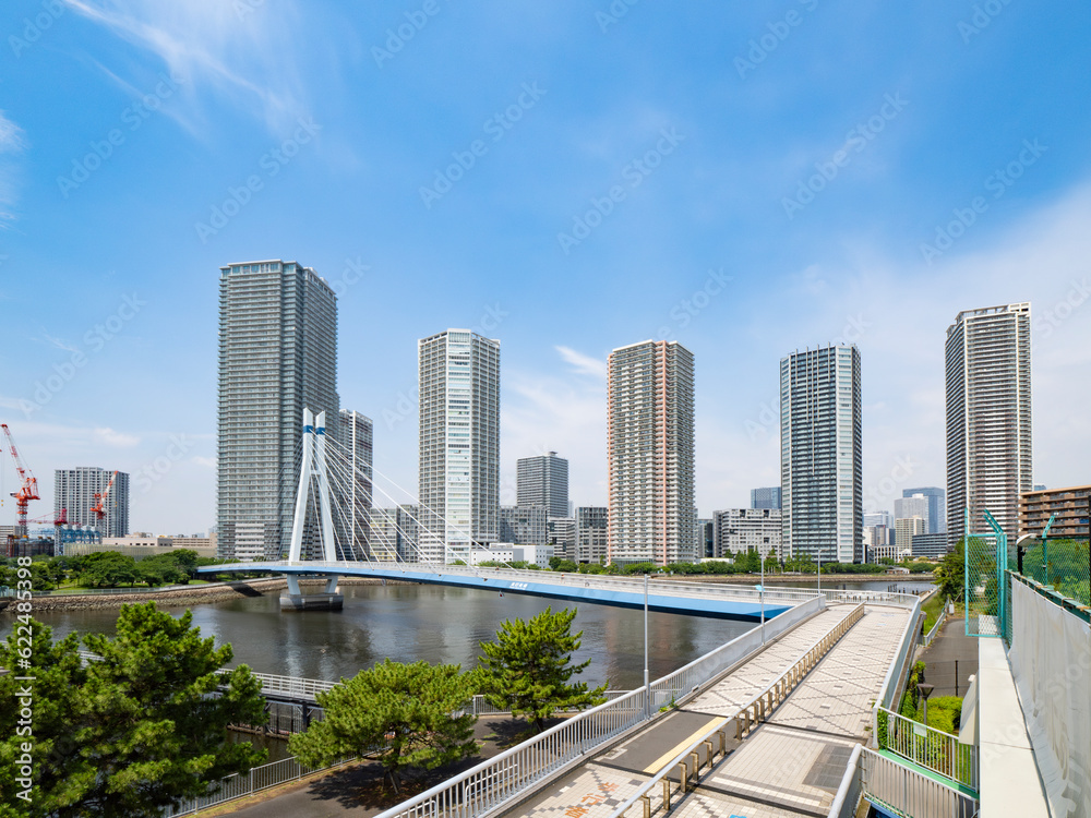 辰巳桜橋 東雲運河にからかる気持ちの良い歩道橋 辰巳桜橋 東雲運河にからかる気持ちの良い歩道橋