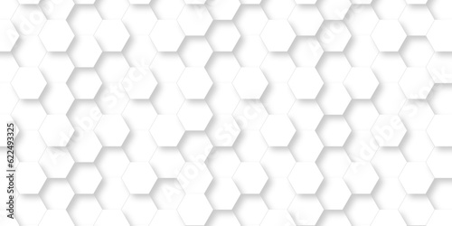 Fototapeta Naklejka Na Ścianę i Meble -  	
Background with white and black lines 3d Hexagonal structure futuristic white background and Embossed Hexagon , honeycomb white Background ,light and shadow ,Vector.