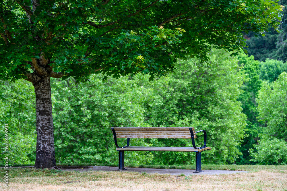 Wooden bench seat under a deciduous tree in a peaceful green landscape, as a nature background
Wooden bench seat under a deciduous tree in a peaceful green landscape, as a nature background
