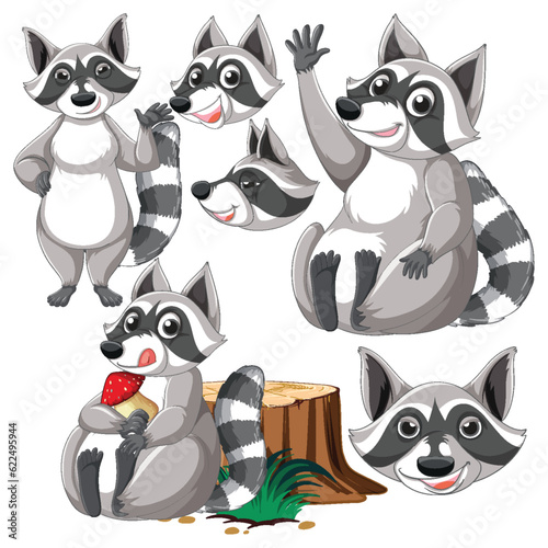 Set of raccoon cartoon character with head and facial expression