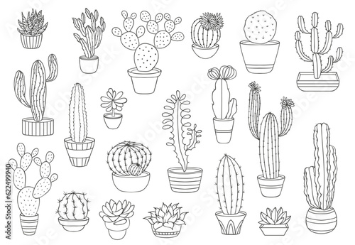 Outline cactus succulents, vector desert plants. Thin line cacti in flower pots, mexican agave, opuntia or prickly pear, saguaro, echeveria and haworthia cactus, succulents with spiky leaves, flowers