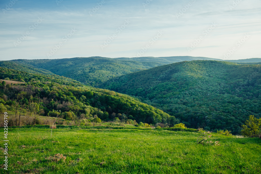 Beautiful hills with trees, green grass  and cloudy sky in spring evening. Panoramic background of gentle spring nature in green tones