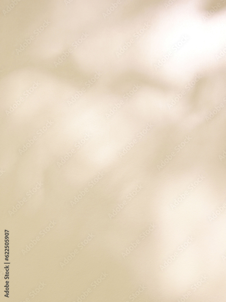 Leaf shadow and light on concrete wall, overlay effect for photo, mock up, product, wall art, design presentation Leaf shadow and light on concrete wall, overlay effect for photo, mock up, product, wall art, design presentation