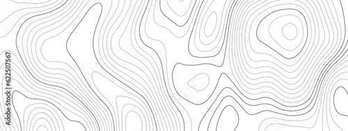 Black and white wavy paper curve relief abstract topographic map background. Geographic mountain relief. Topographic map lines, contour background. Abstract wave lines background.