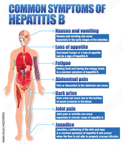 Informative poster of common symptoms Hepatitis B