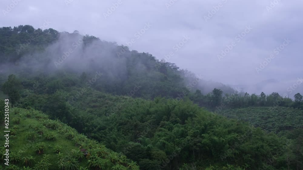 Slow moving of fog over the greenery rainforest and hills Slow moving of fog over the greenery rainforest and hills