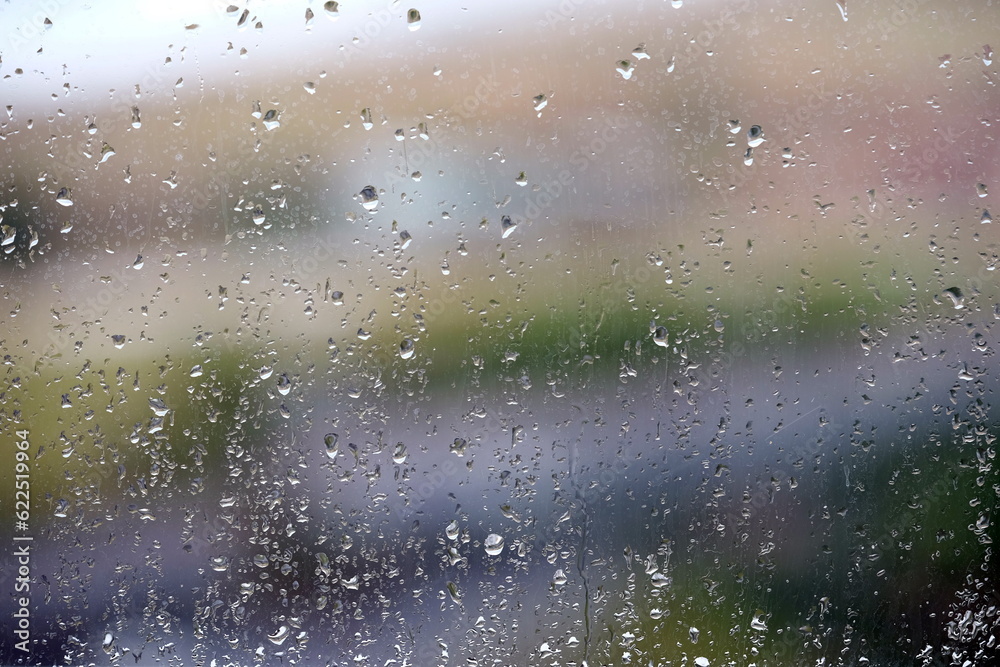 Obraz premium rain drops on the window