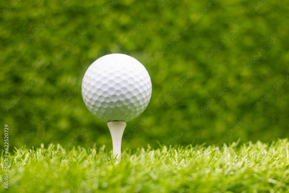 custom made wallpaper toronto digitalGolf ball is on tee with green grass background