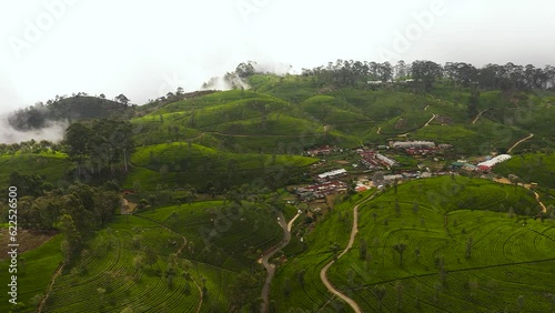 Aerial view of Tea plantation on top of mountain. Tea estate landscape, Sri Lanka. Lipton's Seat. photo