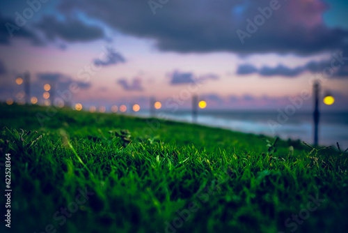 evening over the beach with grass