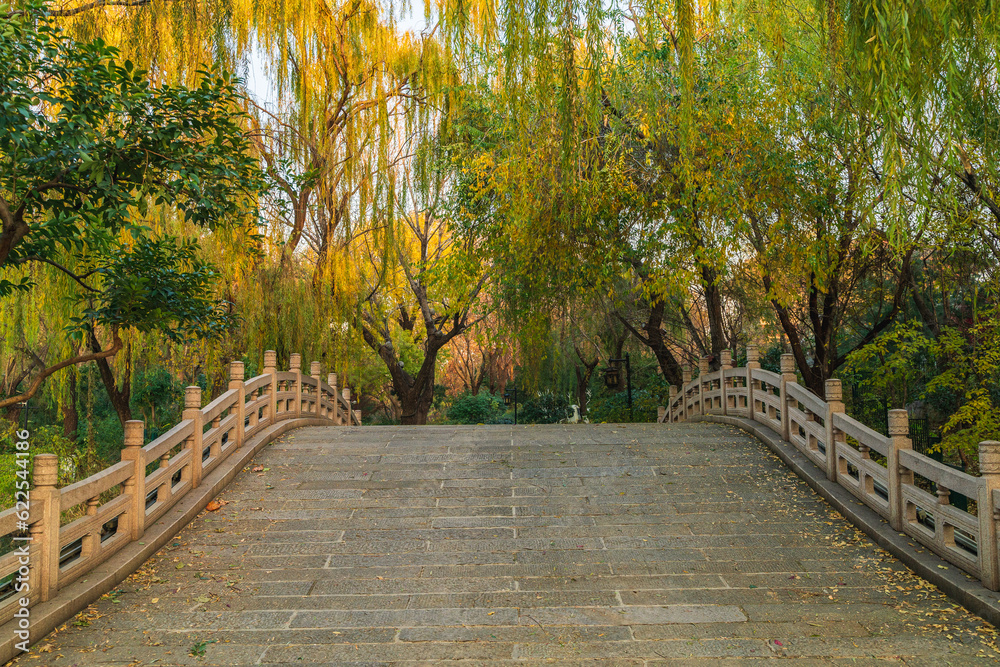 The spring city of Jinan in golden autumn, the colorful autumn colors of Daming Lake Scenic Area The spring city of Jinan in golden autumn, the colorful autumn colors of Daming Lake Scenic Area