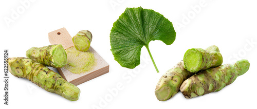 Photo Japanese wasabi with leaf and grater on white background.