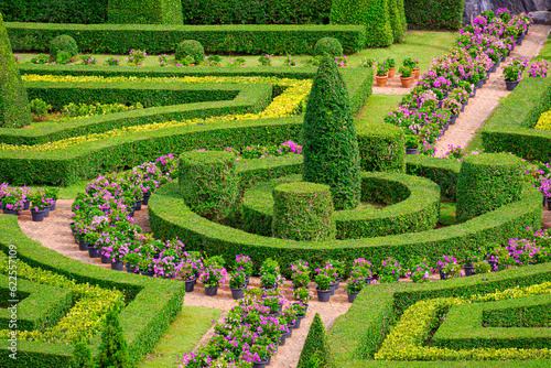Fényképezés Beautiful Topiary trees with shrubs in European ornamental garden style at publi