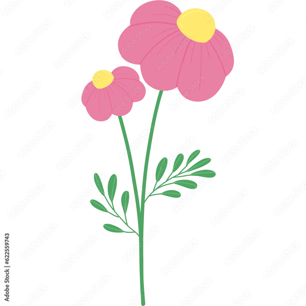 Pink flower illustration.
