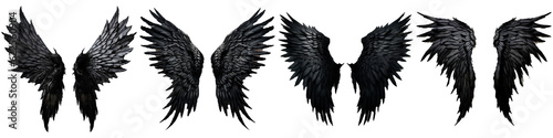 set illustration of black wings on white halloween concept