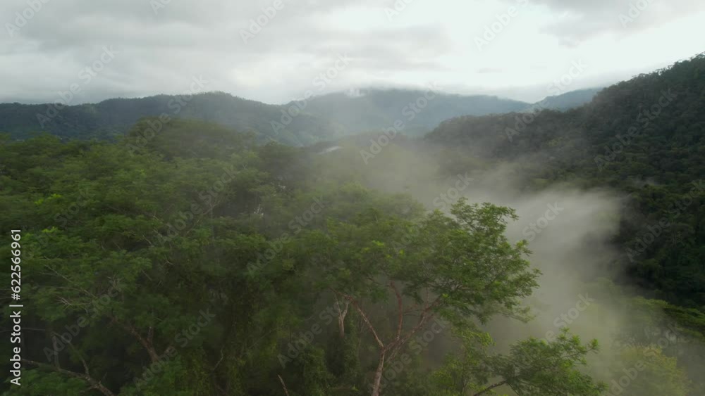Foggy Jungle Morning Costa Rica Drone Aerial Foggy Jungle Morning Costa Rica Drone Aerial