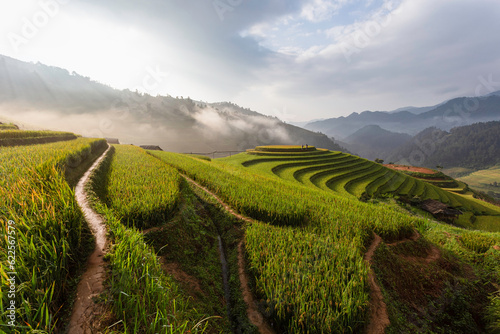Green terraced rice fields in the rainy season at Mu Cang Chai  Yen Bai  Vietnam