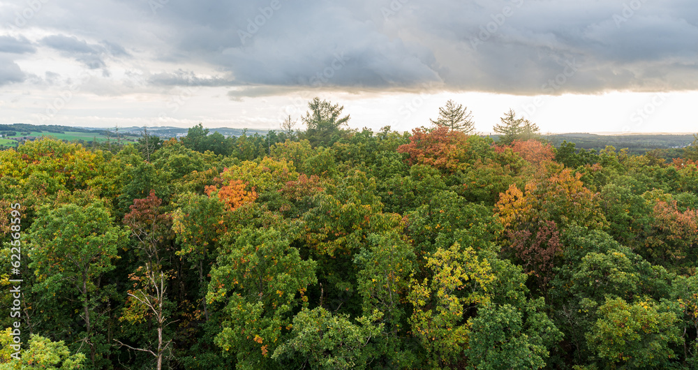 Early autumn colorful forest with rural landscape with smaller hills on the background